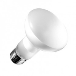 Ampoule LED E27 Dimmable Filament R63 Frost 6W